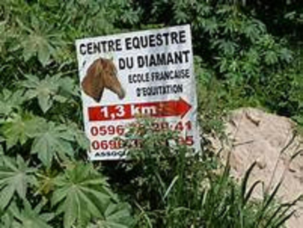Appartement Rosbambou Les Pieds Dans L Eau Ле Диамант Екстериор снимка